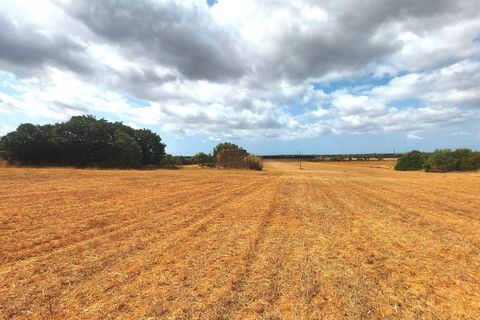 Terra a Campos, Mallorca, Campos - € 682.000 | Ref: CR0007 - foto 11