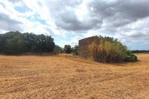 Terra a Campos, Mallorca, Campos - € 682.000 | Ref: CR0007 - foto 12