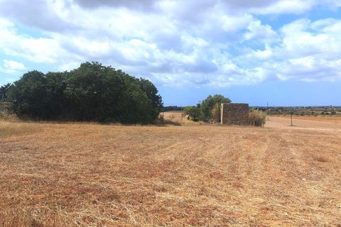 Terra a Campos, Mallorca, Campos - € 682.000 | Ref: CR0007 - foto 13