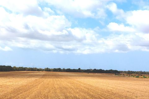 Terra a Campos, Mallorca, Campos - € 682.000 | Ref: CR0007 - foto 15