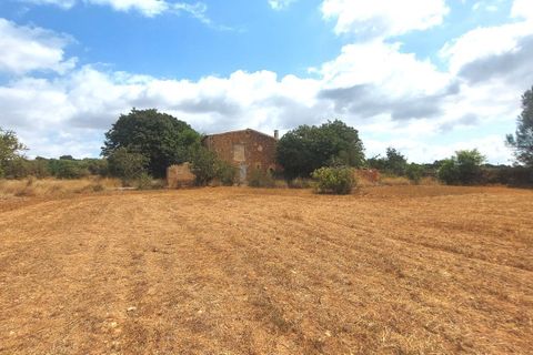 Terra a Campos, Mallorca, Campos - € 682.000 | Ref: CR0007 - foto 16