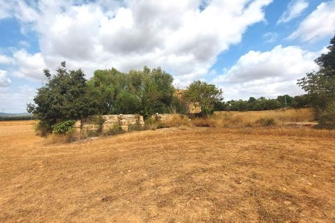 Terra a Campos, Mallorca, Campos - € 682.000 | Ref: CR0007 - foto 17