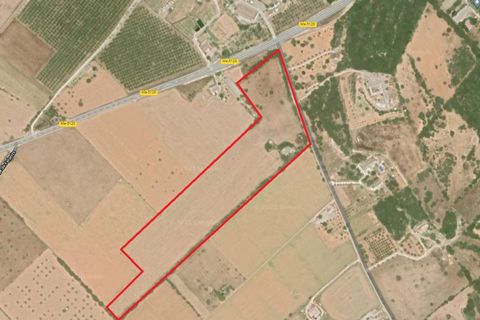 Terra a Campos, Mallorca, Campos - € 682.000 | Ref: CR0007 - foto 19