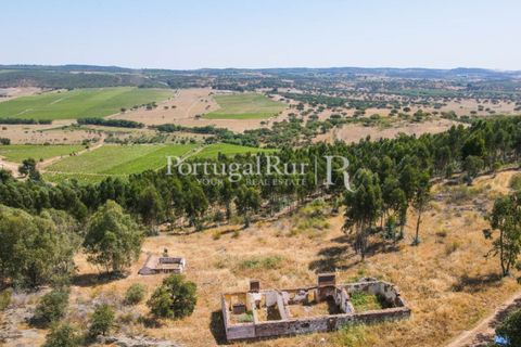 Landejendom i Estremoz, Evora, Estremoz - € 1.099.000 | Ref: 959-3 - foto 2
