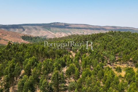 Landejendom i Estremoz, Evora, Estremoz - € 1.099.000 | Ref: 959-3 - foto 3