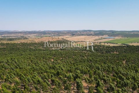 Landejendom i Estremoz, Evora, Estremoz - € 1.099.000 | Ref: 959-3 - foto 5