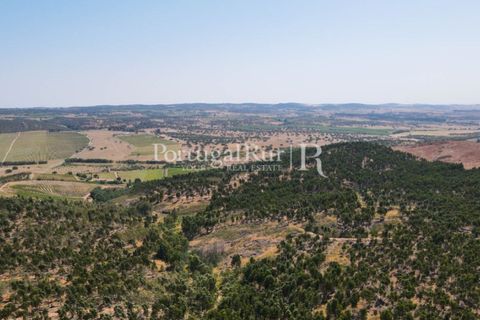 Landejendom i Estremoz, Evora, Estremoz - € 1.099.000 | Ref: 959-3 - foto 6