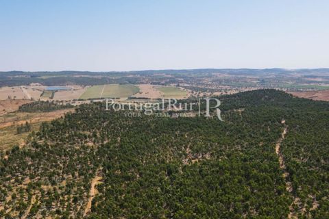 Landejendom i Estremoz, Evora, Estremoz - € 1.099.000 | Ref: 959-3 - foto 7