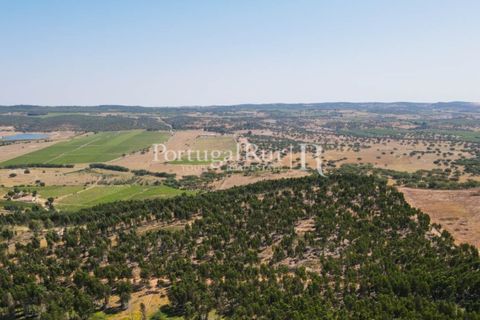 Landejendom i Estremoz, Evora, Estremoz - € 1.099.000 | Ref: 959-3 - foto 8