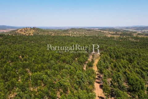 Landejendom i Estremoz, Evora, Estremoz - € 1.099.000 | Ref: 959-3 - foto 9