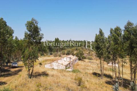 Landejendom i Estremoz, Evora, Estremoz - € 1.099.000 | Ref: 959-3 - foto 11