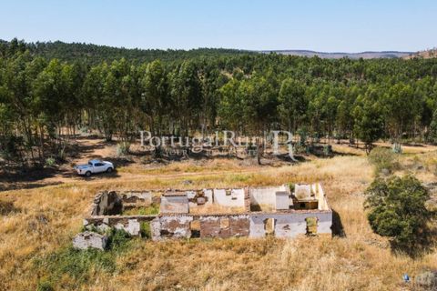 Landejendom i Estremoz, Evora, Estremoz - € 1.099.000 | Ref: 959-3 - foto 12
