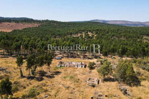 Landejendom i Estremoz, Evora, Estremoz - € 1.099.000 | Ref: 959-3 - foto 13