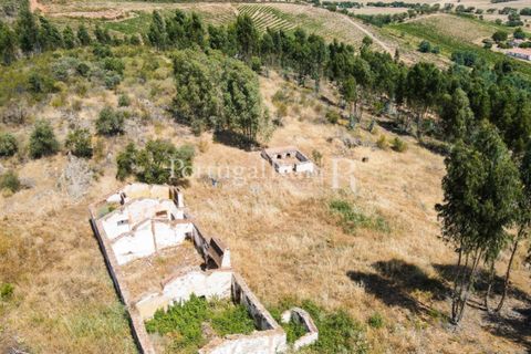 Landejendom i Estremoz, Evora, Estremoz - € 1.099.000 | Ref: 959-3 - foto 14