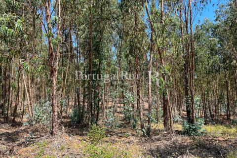 Landejendom i Estremoz, Evora, Estremoz - € 1.099.000 | Ref: 959-3 - foto 17