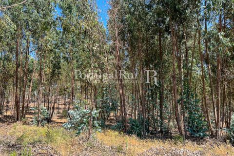 Landejendom i Estremoz, Evora, Estremoz - € 1.099.000 | Ref: 959-3 - foto 19