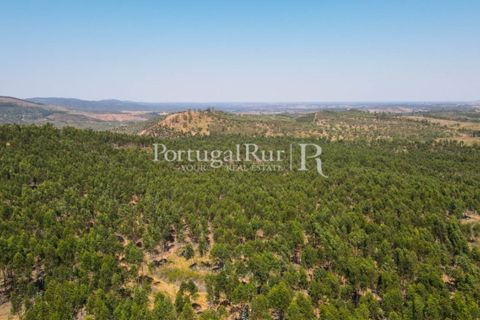 Landejendom i Estremoz, Evora, Estremoz - € 1.099.000 | Ref: 959-3 - foto 20