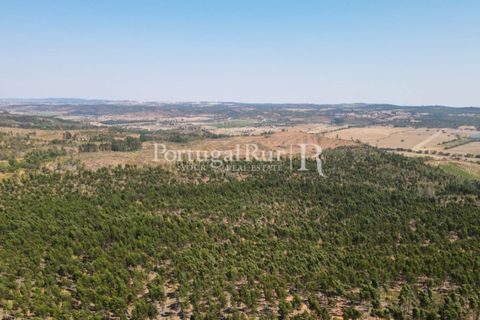 Landejendom i Estremoz, Evora, Estremoz - € 1.099.000 | Ref: 959-3 - foto 23