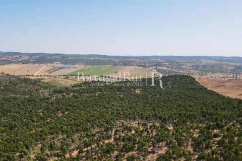 Landejendom i Estremoz, Evora, Estremoz - € 1.099.000 | Ref: 959-3 - foto 24