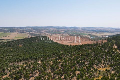 Landejendom i Estremoz, Evora, Estremoz - € 1.099.000 | Ref: 959-3 - foto 25