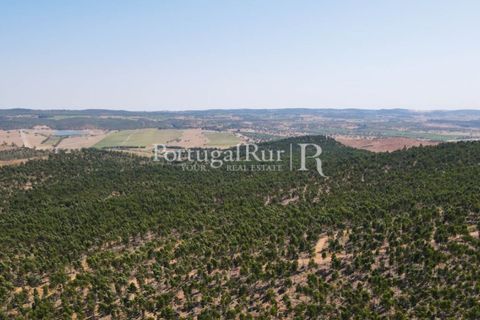 Landejendom i Estremoz, Evora, Estremoz - € 1.099.000 | Ref: 959-3 - foto 26