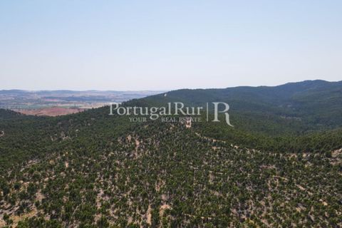 Landejendom i Estremoz, Evora, Estremoz - € 1.099.000 | Ref: 959-3 - foto 27