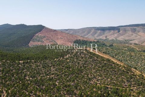 Landejendom i Estremoz, Evora, Estremoz - € 1.099.000 | Ref: 959-3 - foto 28