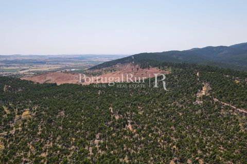 Landejendom i Estremoz, Evora, Estremoz - € 1.099.000 | Ref: 959-3 - foto 29