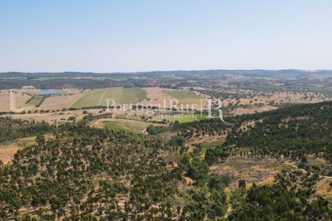 Landejendom i Estremoz, Evora, Estremoz - € 1.099.000 | Ref: 959-3 - foto 30