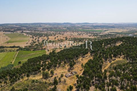 Landejendom i Estremoz, Evora, Estremoz - € 1.099.000 | Ref: 959-3 - foto 31