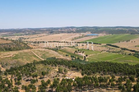 Landejendom i Estremoz, Evora, Estremoz - € 1.099.000 | Ref: 959-3 - foto 32