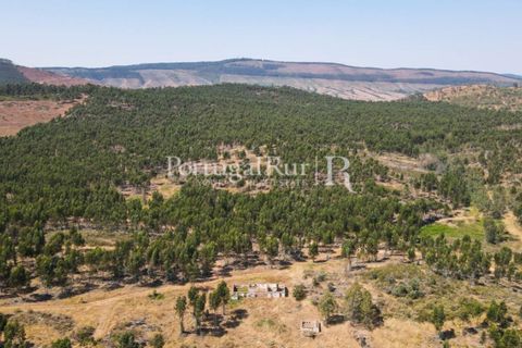 Landejendom i Estremoz, Evora, Estremoz - € 1.099.000 | Ref: 959-3 - foto 33