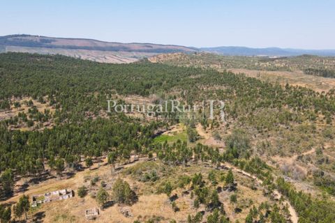 Landejendom i Estremoz, Evora, Estremoz - € 1.099.000 | Ref: 959-3 - foto 34