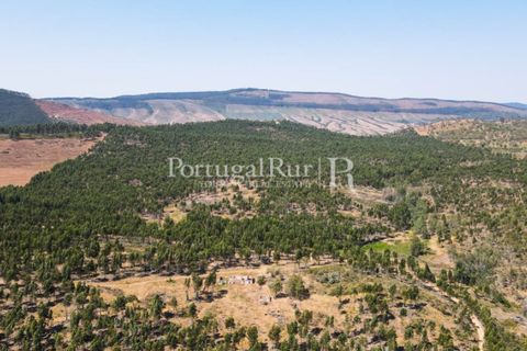 Landejendom i Estremoz, Evora, Estremoz - € 1.099.000 | Ref: 959-3 - foto 36