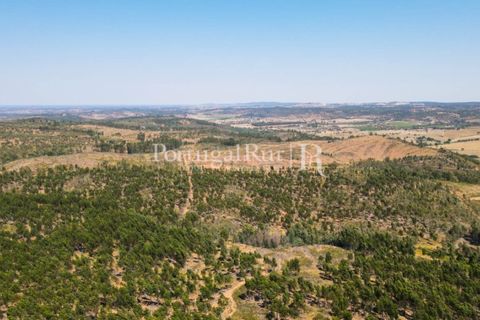 Landejendom i Estremoz, Evora, Estremoz - € 1.099.000 | Ref: 959-3 - foto 37
