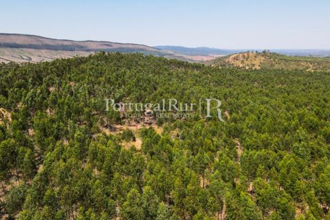 Landejendom i Estremoz, Evora, Estremoz - € 1.099.000 | Ref: 959-3 - foto 39