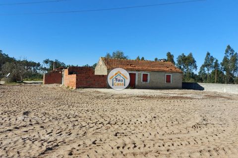 Helårsgrund i Cantanhede, Coimbra, Cantanhede - € 105.000 | Ref: 4TC2617 - foto 15