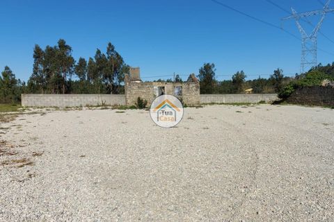 Helårsgrund i Cantanhede, Coimbra, Cantanhede - € 105.000 | Ref: 4TC2617 - foto 11