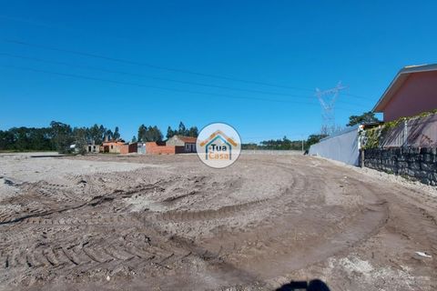 Helårsgrund i Cantanhede, Coimbra, Cantanhede - € 105.000 | Ref: 4TC2617 - foto 14