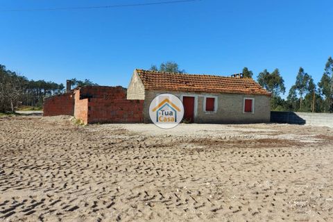 Helårsgrund i Cantanhede, Coimbra, Cantanhede - € 105.000 | Ref: 4TC2617 - foto 16