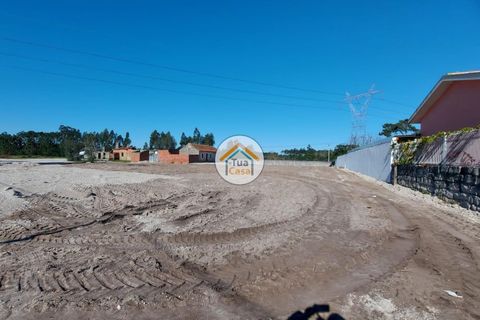 Helårsgrund i Cantanhede, Coimbra, Cantanhede - € 105.000 | Ref: 4TC2617 - foto 18