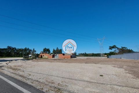 Helårsgrund i Cantanhede, Coimbra, Cantanhede - € 105.000 | Ref: 4TC2617 - foto 21