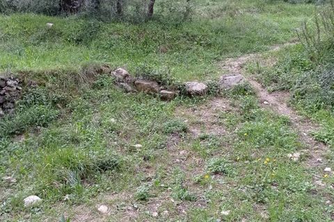 Terra a Cantaron, Alpes-Maritimes, Cantaron - € 165.000 | Ref: 83161932 - foto 2