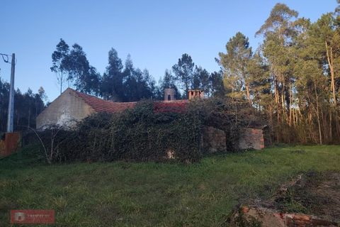 Villa i Batalha, Leiria, Batalha - € 85.000 | Ref: TPH226-06 - foto 2