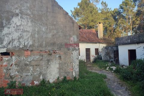 Villa i Batalha, Leiria, Batalha - € 85.000 | Ref: TPH226-06 - foto 3