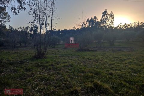 Villa i Batalha, Leiria, Batalha - € 85.000 | Ref: TPH226-06 - foto 5
