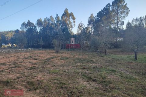 Villa i Batalha, Leiria, Batalha - € 85.000 | Ref: TPH226-06 - foto 6