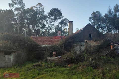 Villa i Batalha, Leiria, Batalha - € 85.000 | Ref: TPH226-06 - foto 7