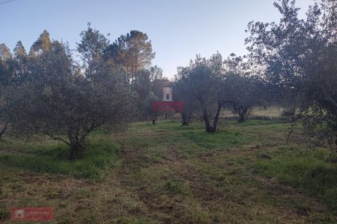 Villa i Batalha, Leiria, Batalha - € 85.000 | Ref: TPH226-06 - foto 8