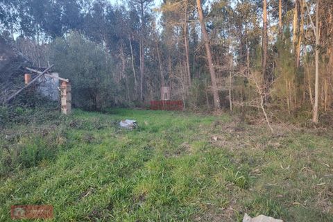 Villa i Batalha, Leiria, Batalha - € 85.000 | Ref: TPH226-06 - foto 9